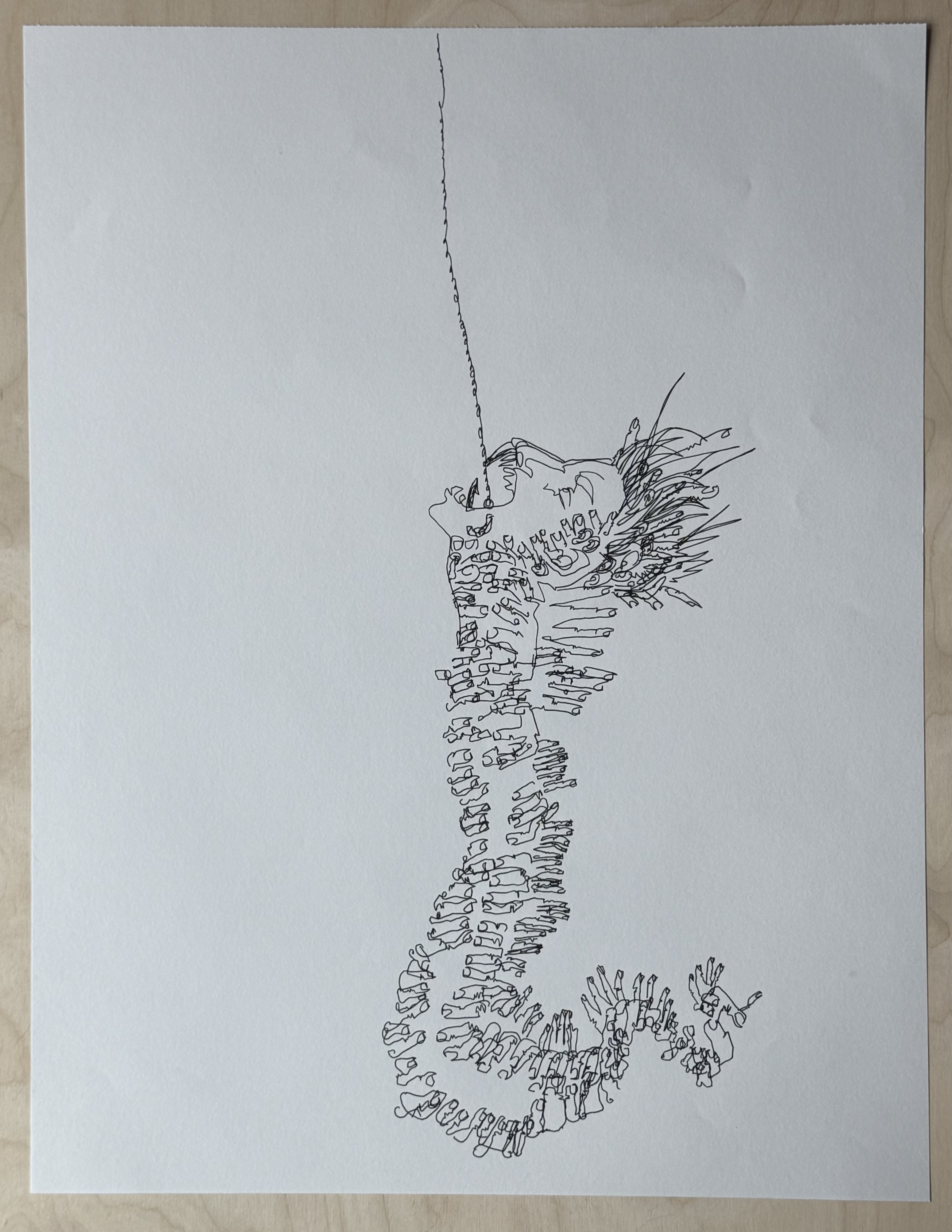 Jormungandr character image from Skrimsli